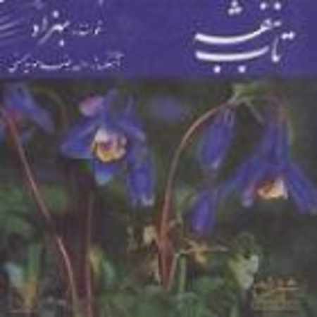 بهزاد گل در بهاران
